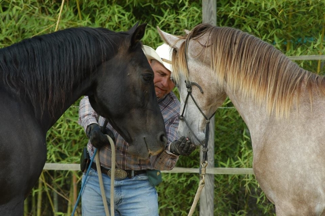  ranch lischeto 
